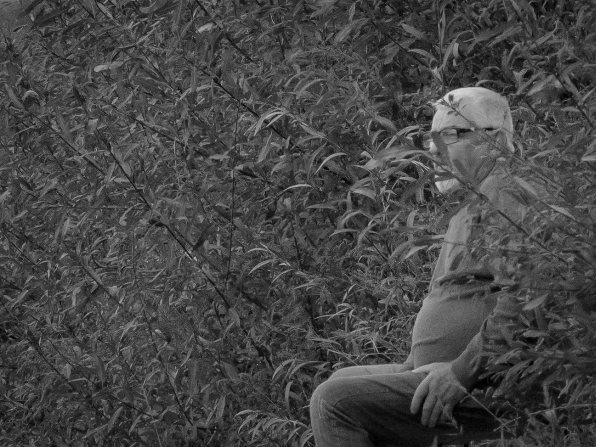Older man sitting alone on a bench hidden among bushes
